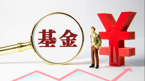 財經(jīng)滾動 數(shù)字時代的新聞脈搏與信息服務革新